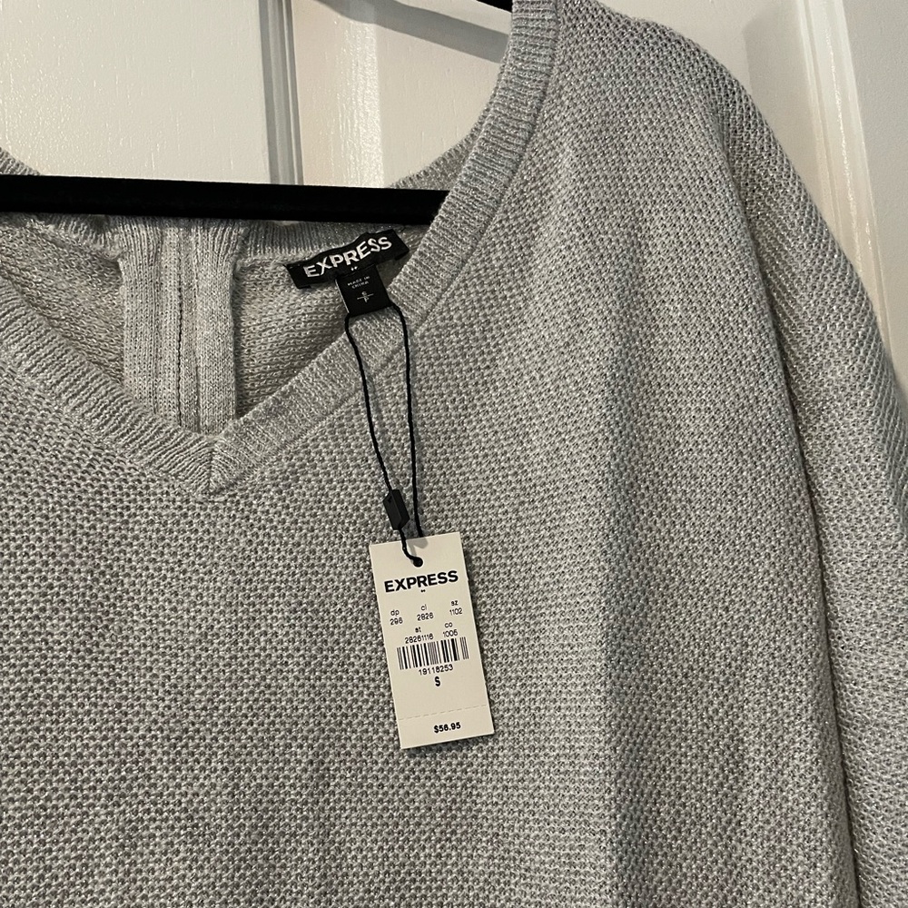 Express silver sweater